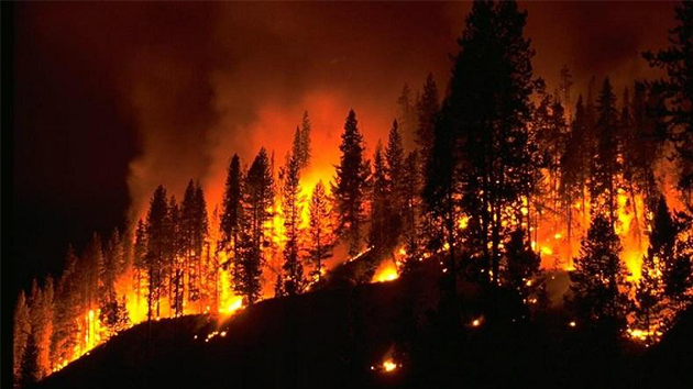 消防知識 丨 5種火災不能用水撲救，你知道嗎？